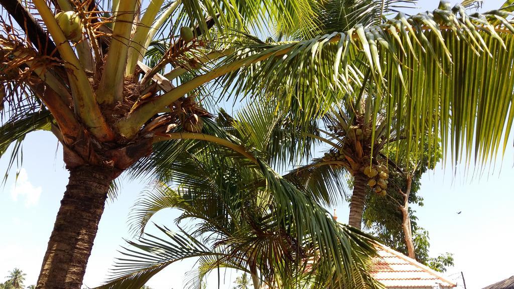 Niya Nest Homestay Kochi Ngoại thất bức ảnh