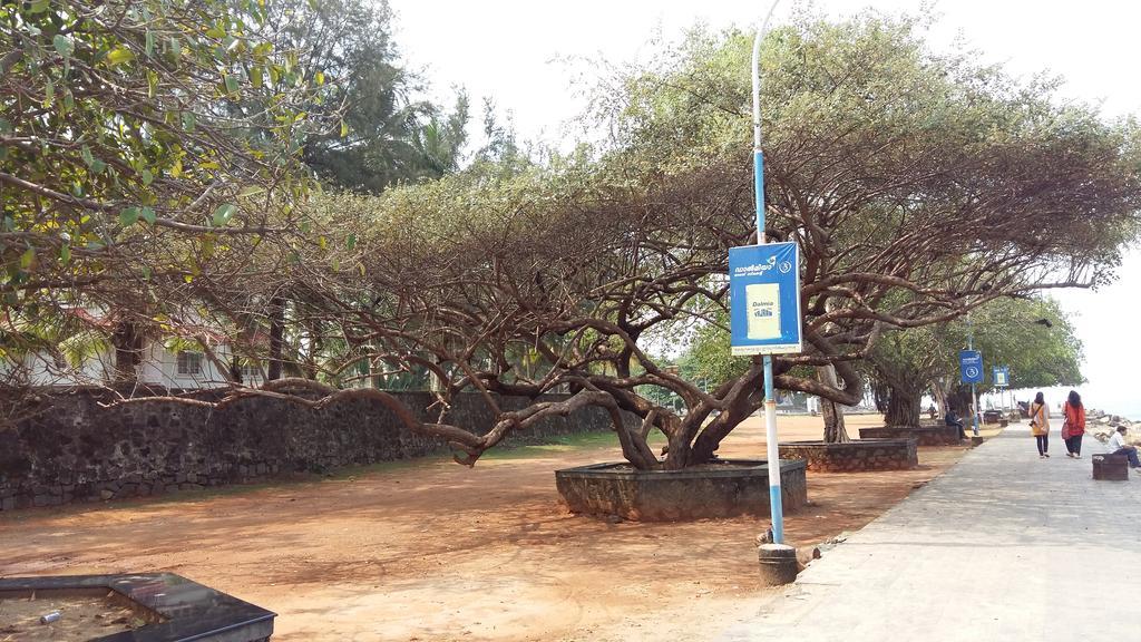 Niya Nest Homestay Kochi Ngoại thất bức ảnh